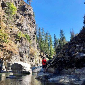 Meet your Posher, Tan